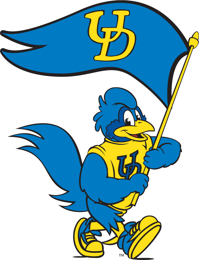 Delaware Blue Hens 1999-2009 Mascot Logo v16 iron on transfers for clothing